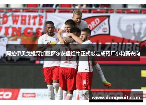 阿拉伊贝戈维奇加盟萨尔茨堡红牛正式敲定成药厂小将新去向 阿拉伊贝戈维奇加盟萨尔茨堡红牛正式敲定成药厂小将新去向