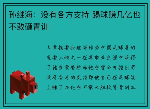 孙继海:没有各方支持 踢球赚几亿也不敢砸青训 孙继海:没有各方支持 踢球赚几亿也不敢砸青训